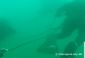 AQUA IMZ of the amphibious detachments