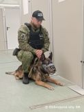 Vojensk polcia sa zastnila cvienia Joint International K9 Workshop Berlin- Brandenburg