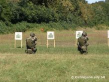 Vcvik prslunkov prpv PS a zamestnancov Fyzickej ochrany objektov  V TOMIKOVE