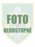 Náčelník zdravotníckej služby  