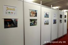 Výstavy „Poézia života“
